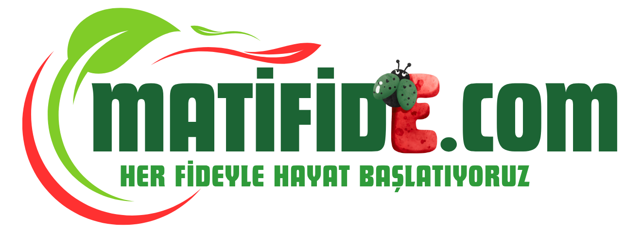 Mati Fide